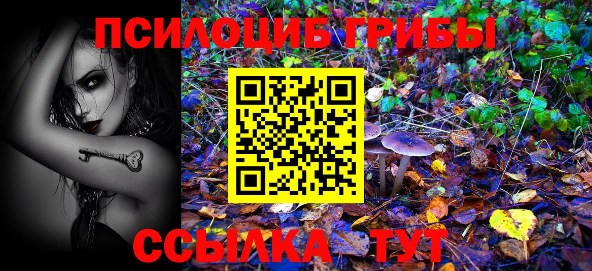 магазин    Галлюциногенные грибы Magic Shrooms  Вход с VPN  Бахчисарай 